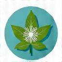 Icon of a snowflake over a leaf